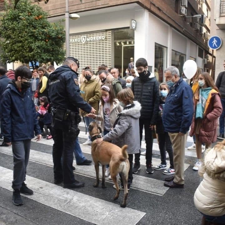 dia sin coche recogidas 2022 actividades