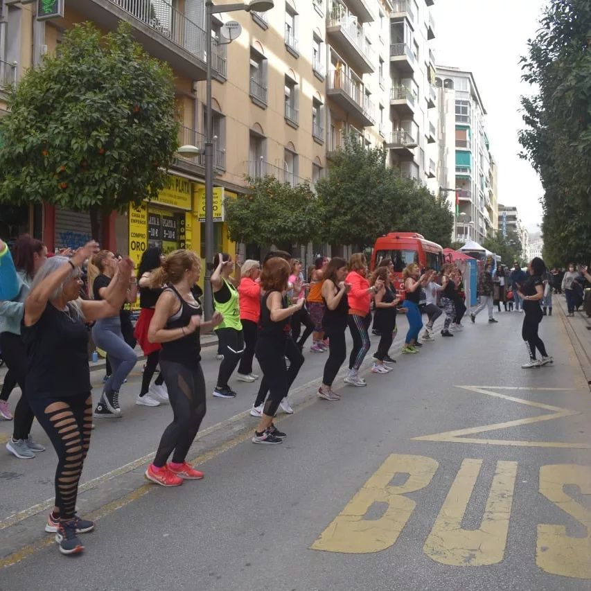 dia sin coche recogidas 2022 actividades