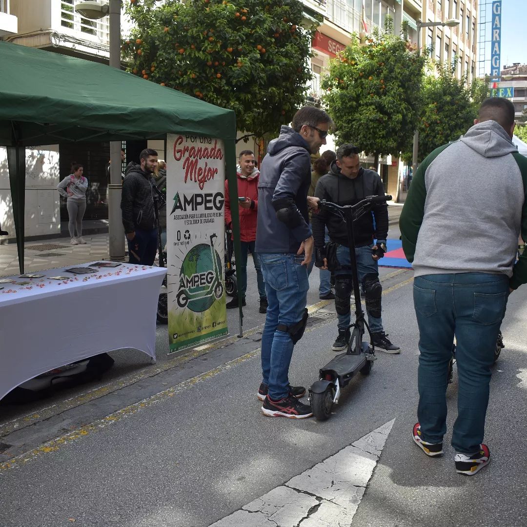 dia sin coche recogidas 2022 actividades