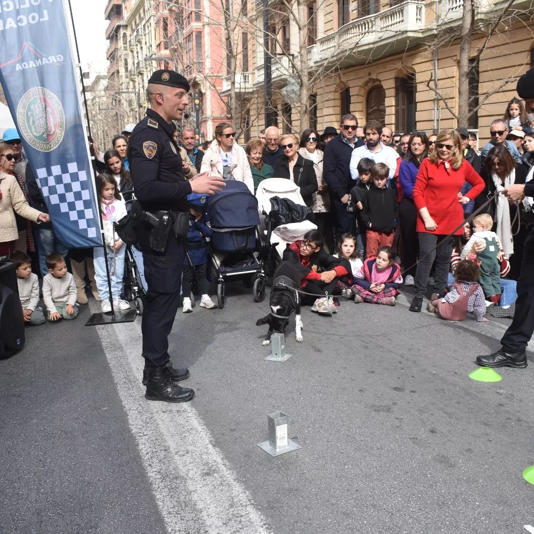 dia sin coche doctor gran via 2023 actividades