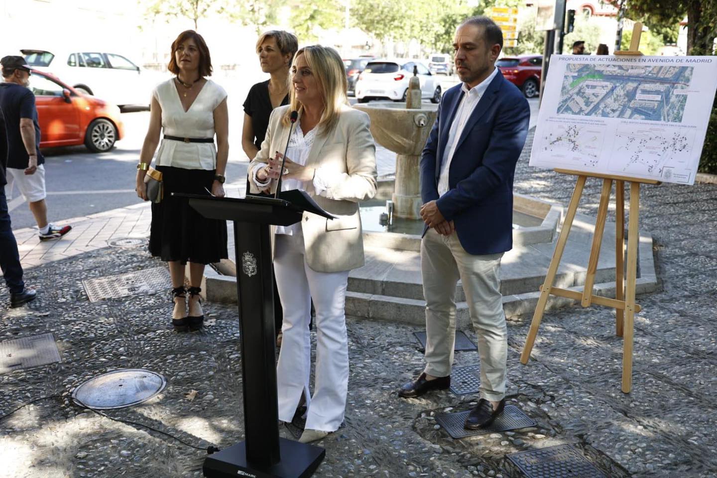 Ordenación avenida de Madrid